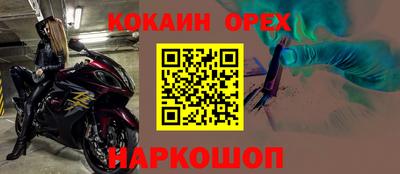 крисы Бийск