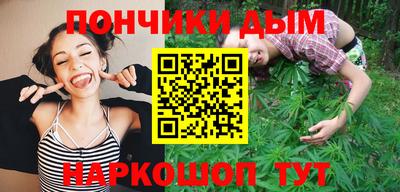 крисы Бийск