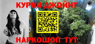 крисы Бийск