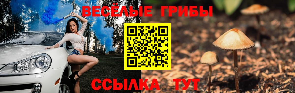 Калач-на-Дону  Галлюциногенные грибы ЛСД  Вход с VPN 